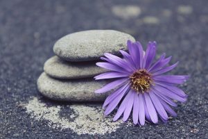 yoga classes in adelaide essence of yoga